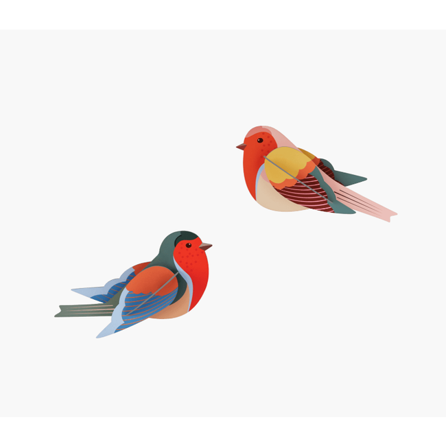Studio ROOF Garden Bird - Robins