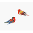 Studio ROOF Garden Bird - Robins | Roodborstje | Vogel | DIY