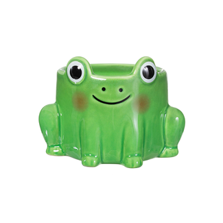 Frog mini planter