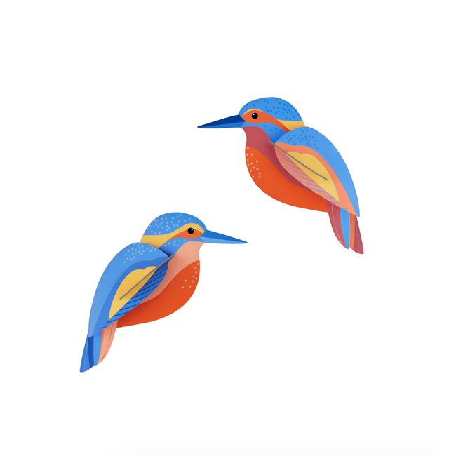 Studio ROOF Garden Bird - Kingfishers