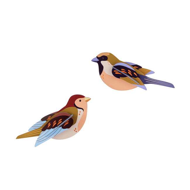 Studio ROOF Garden Bird - Sparrows