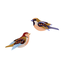 Studio ROOF Garden Bird - Sparrows