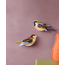 Studio ROOF Garden Bird - Sparrows