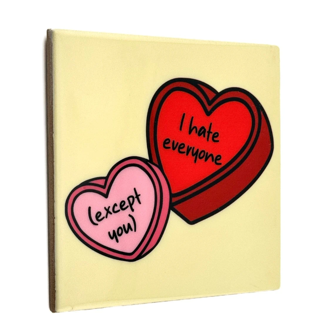 Tegeltje I hate everyone except you