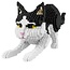 Balody Zwart Witte kat speels