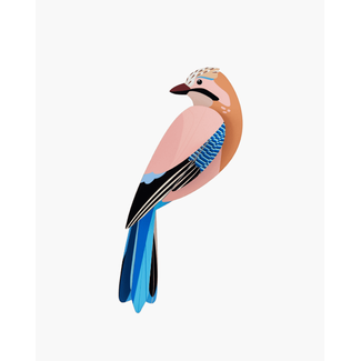 Studio ROOF Garden Bird - Jay | Vlaamse Gaai | Vogel | DIY
