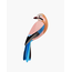 Studio ROOF Garden Bird - Jay