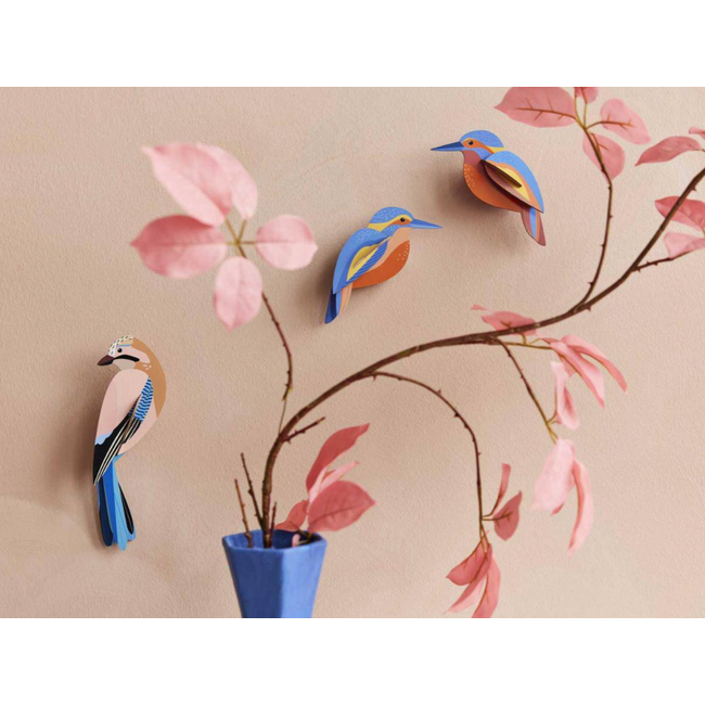 Studio ROOF Garden Bird - Jay