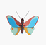 Studio ROOF Small Insects - Claudina Butterfly