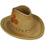 Bloempot Cowboyhoed Polyresin Ivoor 31,5x27x13,5cm