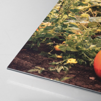 Informatie verschillende materialen