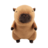 Capybara's
