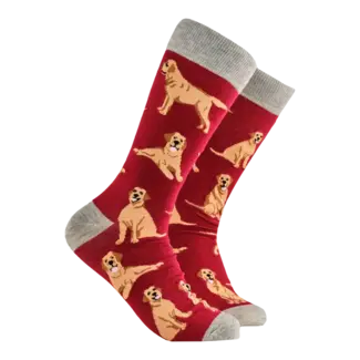 Sok Labrador Retriever Burgundy 43-46