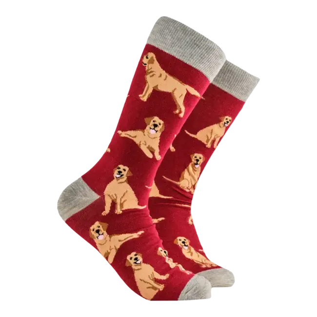 Sok Labrador Retriever Bordeaux 43-46