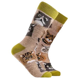 Sok Grumpy Cats oatmeal 37-42