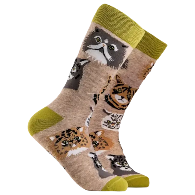 Sok Grumpy Cats beige 37-42