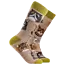 Sok Grumpy Cats oatmeal 37-42