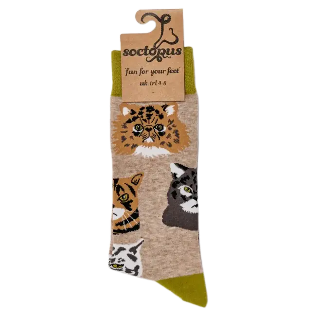 Sok Grumpy Cats beige 37-42