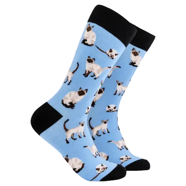 Sok Siamese kat  37-42