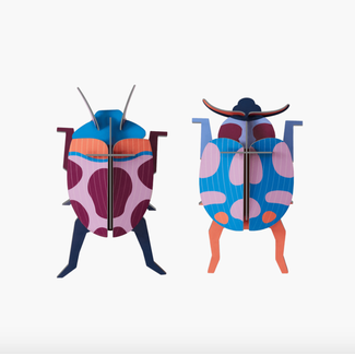 Studio ROOF Small Insects - Coccinelle Couple | Lieveheersbeestje | Insect