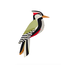 Studio ROOF Garden Bird - Woodpecker | Specht | Vogel | DIY