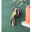 Studio ROOF Garden Bird - Woodpecker