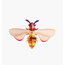 Studio ROOF Small Insects - Honey Bee
