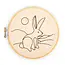 Kikkerland Punch needle kit Hare | Konijn | Borduurwerkje | Embroidery