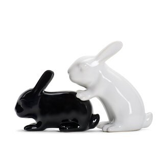 Bunny Salt and Pepper shaker | Konijnen | Peper en zoutstel | Ondeugend