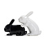 Bunny Salt and Pepper shaker | Konijnen | Peper en zoutstel | Ondeugend