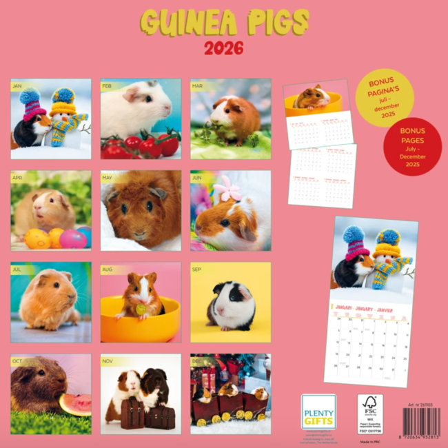 Kalender 26 Guinea Pigs Studio