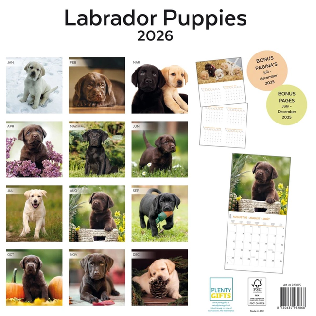 Kalender 26 Labrador Puppies