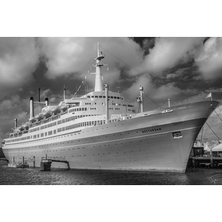 SS Rotterdam landscape