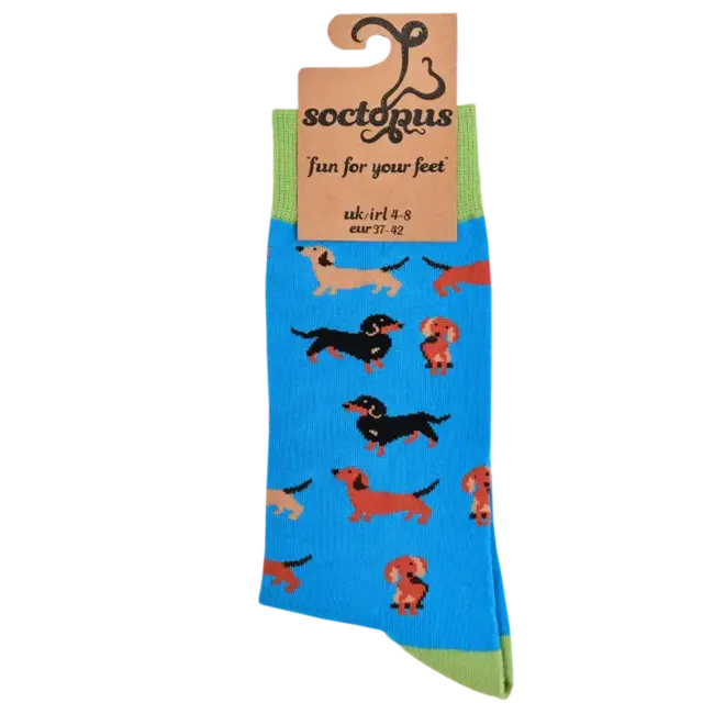 Sok Dasching Around blue 43-46