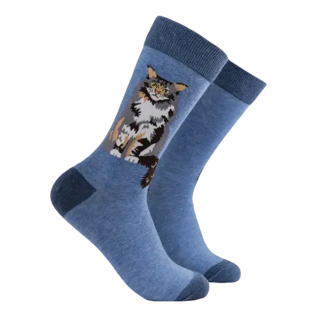 Sok Maine Coon blauw  37-42