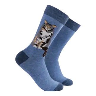 Sok Maine Coon blue  43-46 (laatste)