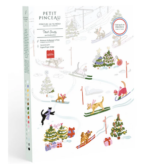 Tout Schuss Downhill - Paint by number kit