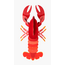 Studio ROOF Big Sea Creature - Lobster