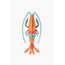 Studio ROOF Small Sea Creature - Pomelo Shrimp