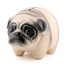 Spaarpot pug | Hond