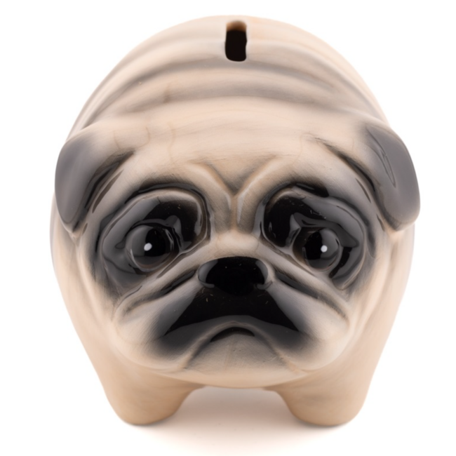Spaarpot pug | Hond