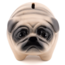 Spaarpot pug | Hond