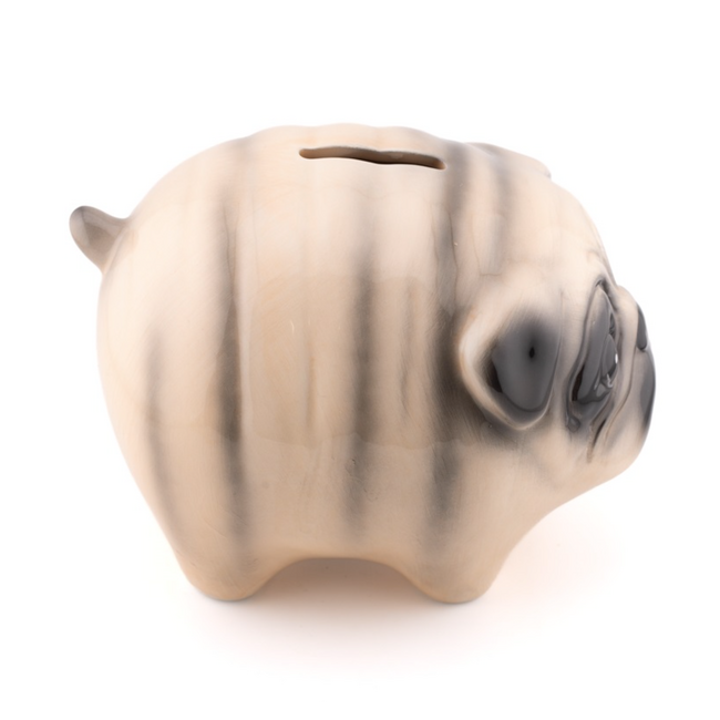 Spaarpot pug | Hond