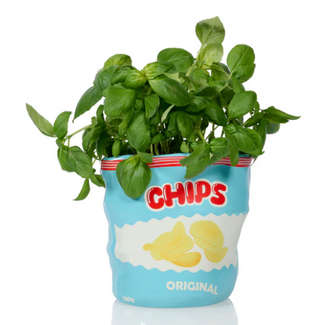 Bitten Chips Ceramic Bag