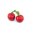Cherry Salt & Pepper Shakers | Kers | Peper en zoutstel