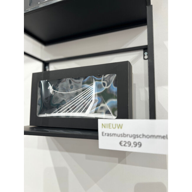 Erasmusbrugschommel Erasmusbrug schommel Rotterdam