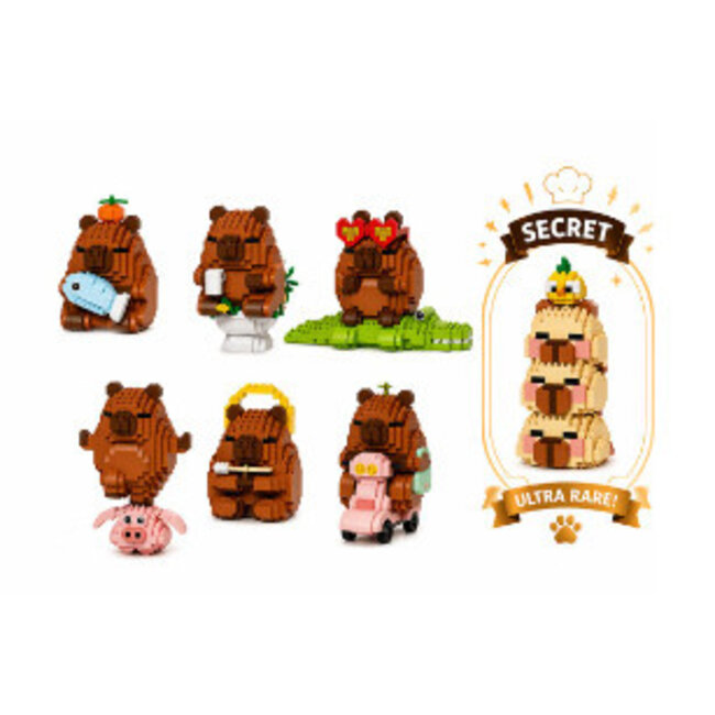 Kenji BUILDING BLOCKS LG HAPPY CAPYBARA | Blind box | Suprise | Kenji