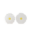 Middel vaas bloem wit daisy 18X6X18CM