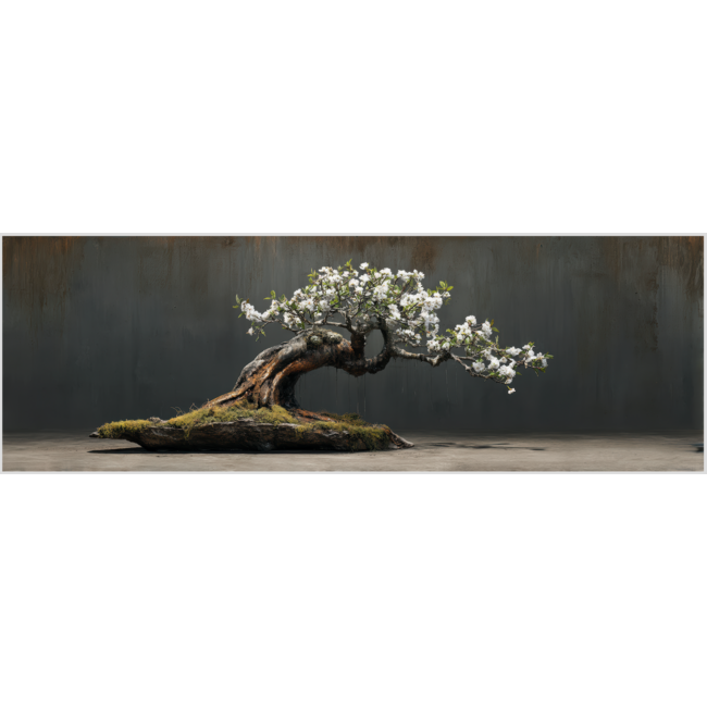 Artframe | Panorama | Bonsai met witte amandelbloesem stilleven | 160x55
