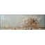 Artframe | Panorama | Papieren boom tegen verweerde muur | 160x55